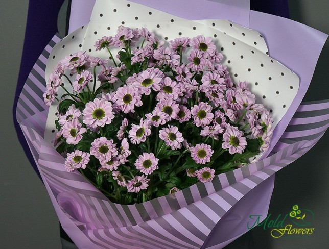 Buchet cu crizanteme violete foto
